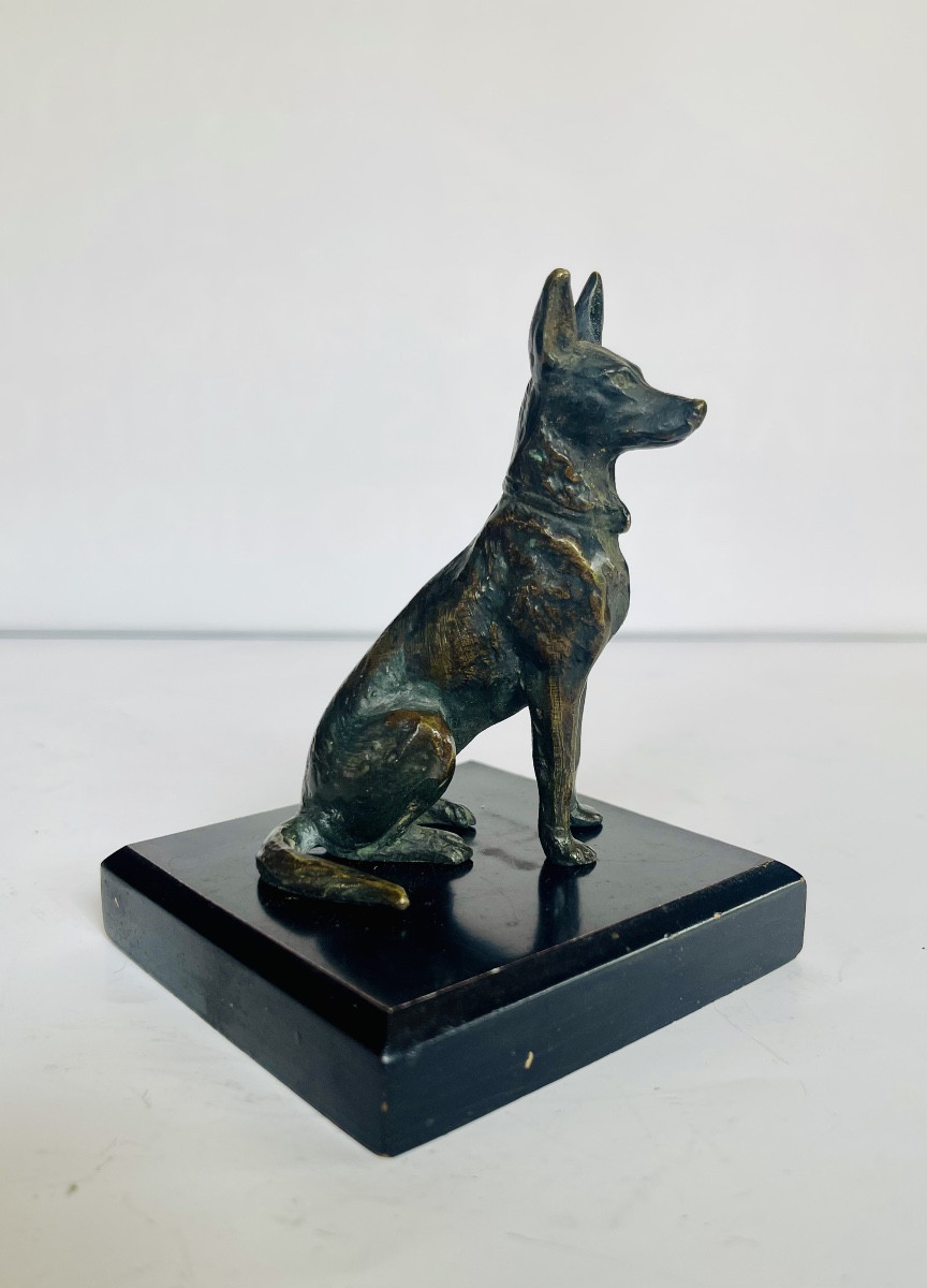 German Bernier Dog In Bronze 